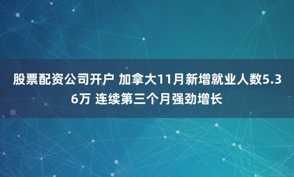 股票配资公司开户 加拿大11月新增就业人数5.36万 连续第三个月强劲增长