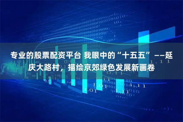 专业的股票配资平台 我眼中的“十五五” ——延庆大路村，描绘京郊绿色发展新画卷